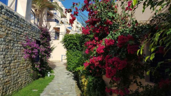 Atalaya Graceful Daire Mojácar Dış mekan fotoğraf
